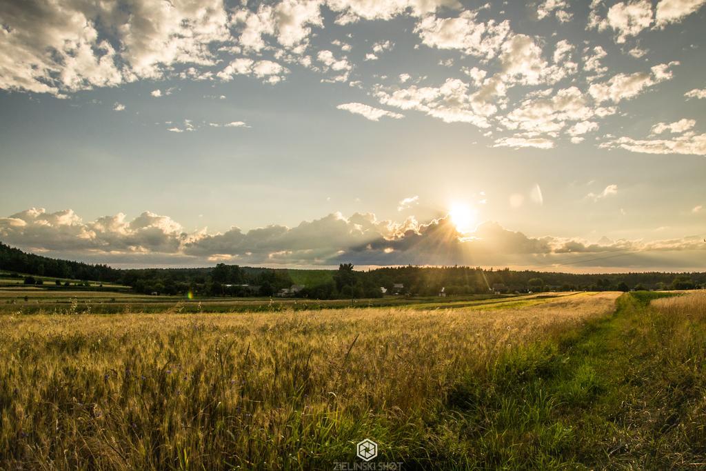 Agroturystyka Szumynowiny Majdan Sopocki Exterior foto